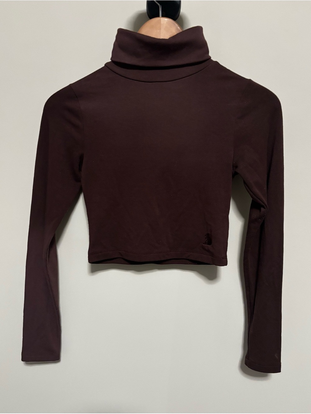 Classic Brown Cropped Turtleneck Long Sleeve Top